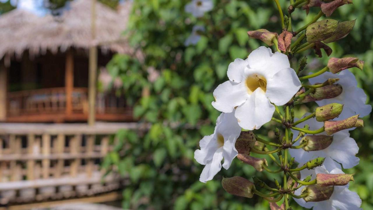 Onong'S Homestay & Cafe Tomohon Εξωτερικό φωτογραφία